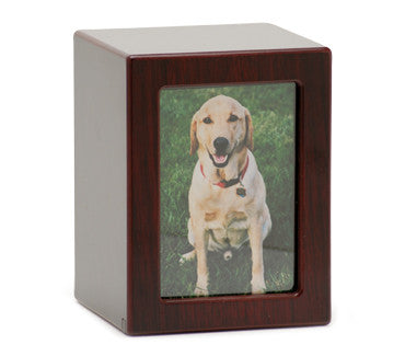 Cherry Faithful Photo