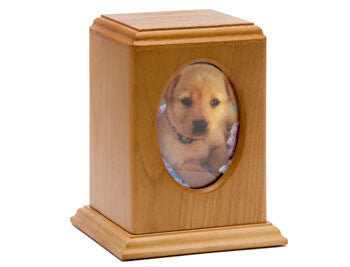 Vertical Forest Oak Photo